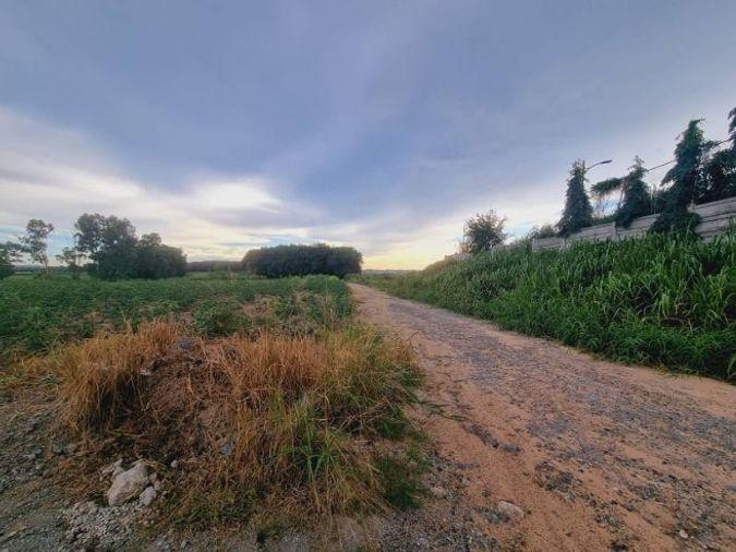 รูป ขายที่ดินแปลงสวย  พันเสด็จ บ่อวิน ศรีราชา ทำเลดี ผังสีม่วง - รูปที่ 5/10