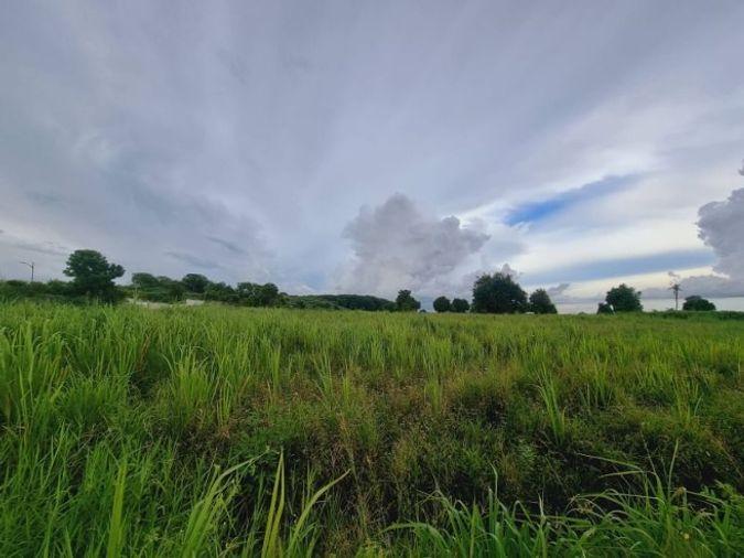 รูป ขายที่ดินแปลงสวย  พันเสด็จ บ่อวิน ศรีราชา ทำเลดี ผังสีม่วง - รูปที่ 4/10
