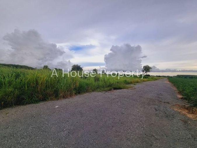 รูป ขายที่ดินแปลงสวย พันเสด็จ บ่อวิน ศรีราชา ทำเลดี ผังสีม่วง - รูปที่ 8/10
