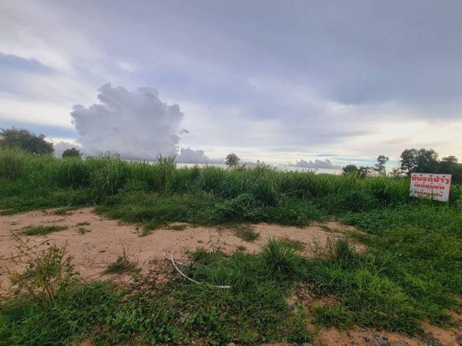 รูป ขายที่ดินแปลงสวย  พันเสด็จ บ่อวิน ศรีราชา ทำเลดี ผังสีม่วง - รูปที่ 3/10