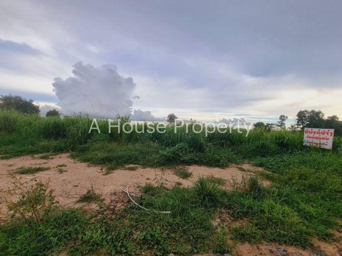 รูป ขายที่ดินแปลงสวย พันเสด็จ บ่อวิน ศรีราชา ทำเลดี ผังสีม่วง - รูปที่ 3/10
