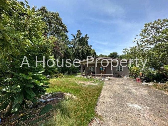 picture Beautiful plot of land with buildings, located on a public road, near Khao Taeng On Temple - 2/9
