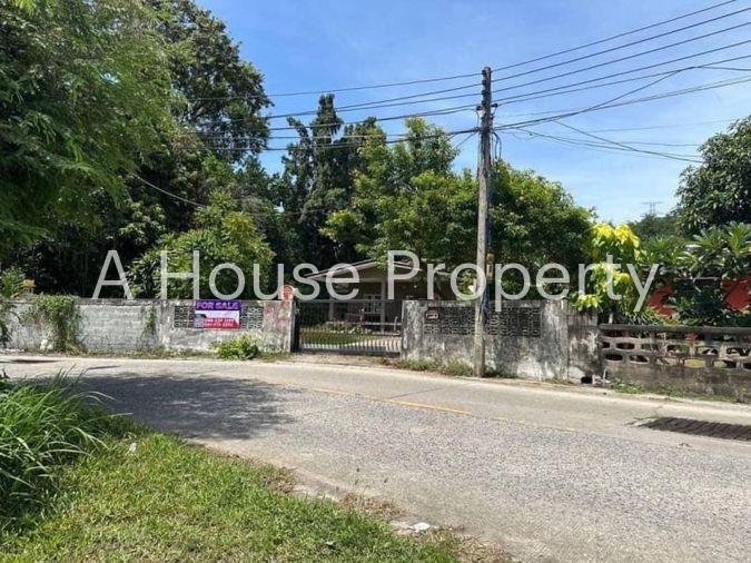 picture Beautiful plot of land with buildings, located on a public road, near Khao Taeng On Temple - 1/9