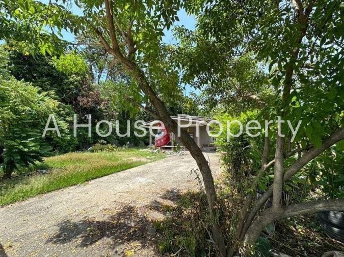 picture Beautiful plot of land with buildings, located on a public road, near Khao Taeng On Temple - 4/9