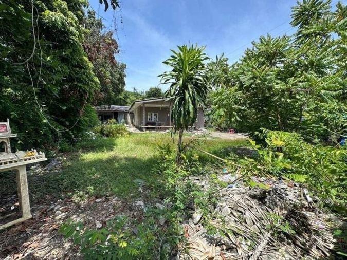 picture Beautiful plot of land with buildings, located on a public road, near Khao Taeng On Temple - 5/9