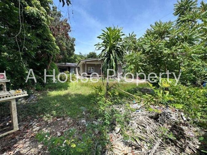 picture Beautiful plot of land with buildings, located on a public road, near Khao Taeng On Temple - 5/9