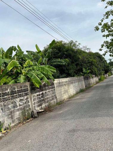 picture Land for sale with buildings, dormitory business, Assumption Road, Rai Kluai - 6/6