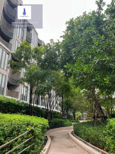 picture For rent at Kawa Haus  Negotiable - 18/29