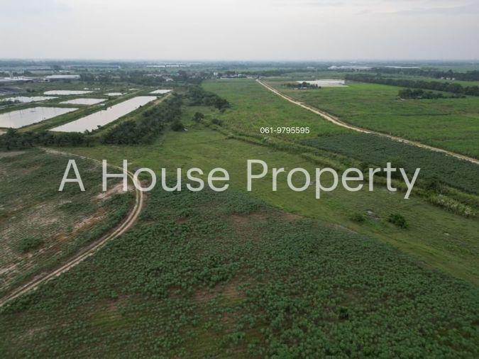 picture Land for sale in Nong Sak, Ban Bueng, beautiful plot, near Chonburi Technical College, Nong Chak - 4/6
