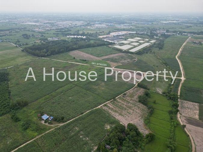 picture Land for sale in Nong Sak, Ban Bueng, beautiful plot, near Chonburi Technical College, Nong Chak - 6/6