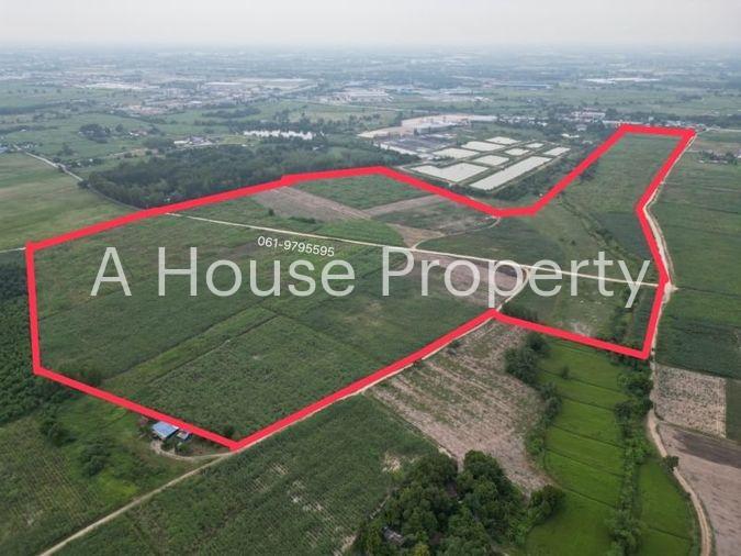 picture Land for sale in Nong Sak, Ban Bueng, beautiful plot, near Chonburi Technical College, Nong Chak - 2/6