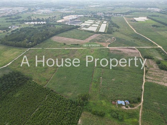 picture Land for sale in Nong Sak, Ban Bueng, beautiful plot, near Chonburi Technical College, Nong Chak - 5/6