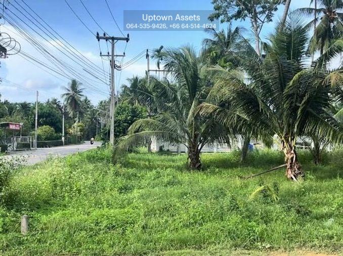 รูป ขาย ที่ดิน 3++ ไร่ ต.ธงชัย อ.บางสะพาน จ.ประจวบคีรีขันธ์ - รูปที่ 3/4