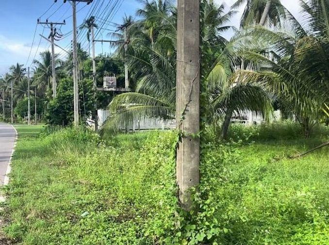 รูป ขาย ที่ดิน 3++ ไร่ ต.ธงชัย อ.บางสะพาน จ.ประจวบคีรีขันธ์ - รูปที่ 2/4