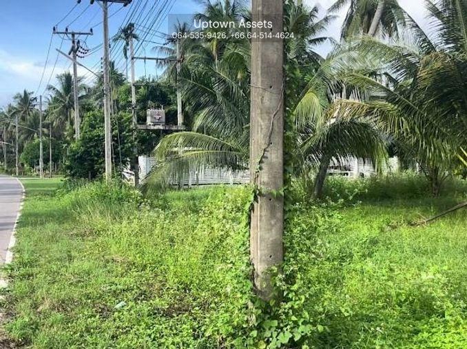 รูป ขาย ที่ดิน 3++ ไร่ ต.ธงชัย อ.บางสะพาน จ.ประจวบคีรีขันธ์ - รูปที่ 2/4
