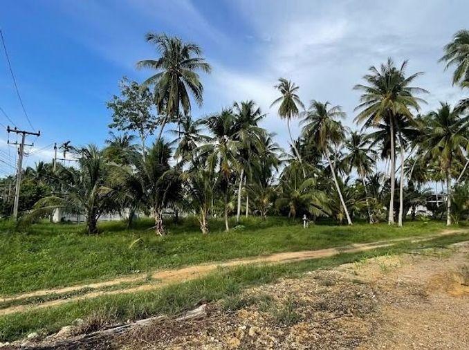 รูป ขาย ที่ดิน 3++ ไร่ ต.ธงชัย อ.บางสะพาน จ.ประจวบคีรีขันธ์ - รูปที่ 1/4
