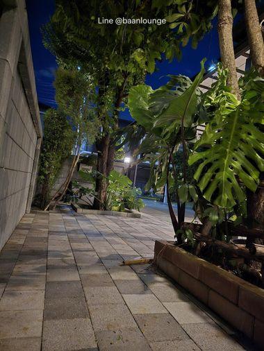 รูป เช่าบ้านเดี่ยว The City Pattanakarn เดอะ ซิตี้ พัฒนาการ - รูปที่ 3/23