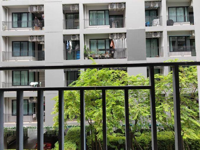picture For RENT The cabana  3rd floor studio 1 bath size 22.78 sqm. - 17/19