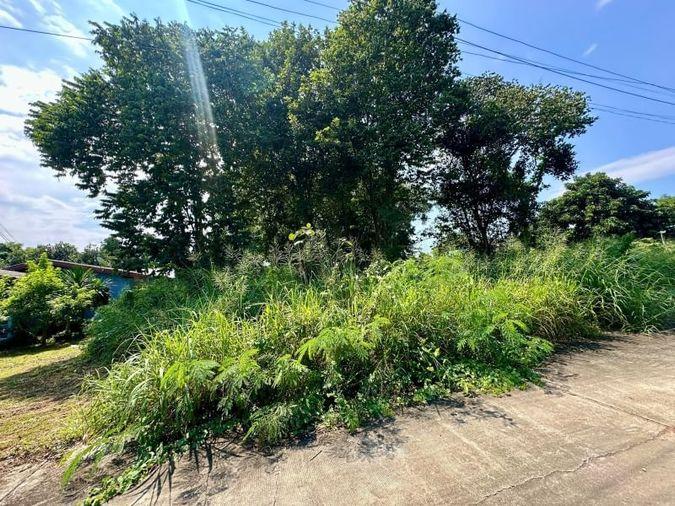 picture Land for sale in Sriracha, Na Phrao, beautiful plot, good location, near community area - 5/11