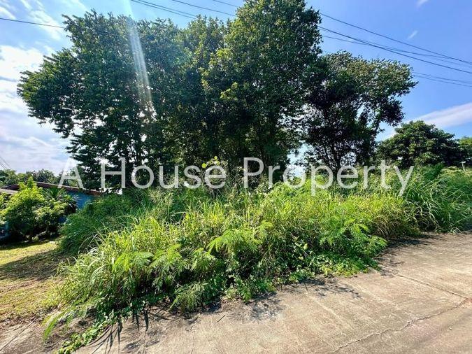 picture Land for sale in Sriracha, Na Phrao, beautiful plot, good location, near community area - 5/11