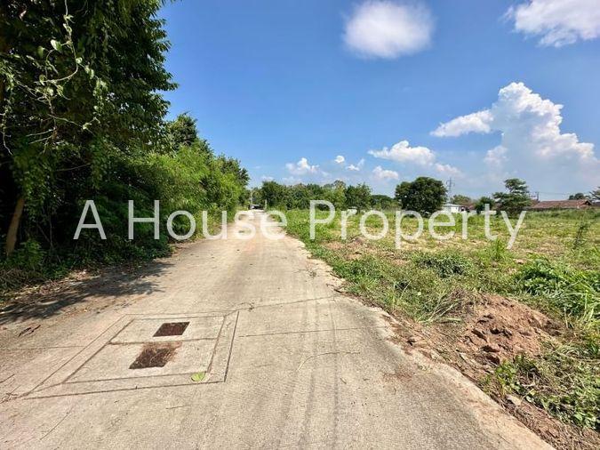picture Land for sale in Sriracha, Na Phrao, beautiful plot, good location, near community area - 6/11