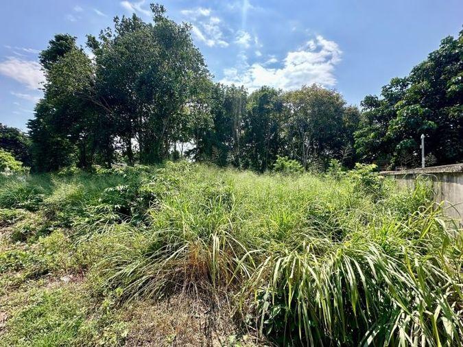 picture Land for sale in Sriracha, Na Phrao, beautiful plot, good location, near community area - 1/11