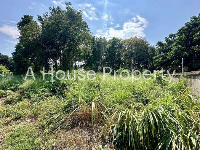 picture Land for sale in Sriracha, Na Phrao, beautiful plot, good location, near community area - 1/11