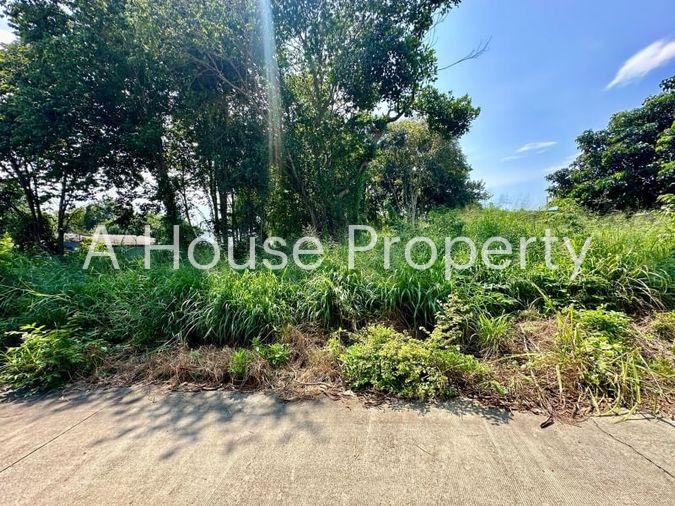picture Land for sale in Sriracha, Na Phrao, beautiful plot, good location, near community area - 3/11