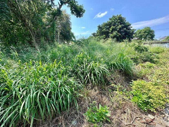 picture Land for sale in Sriracha, Na Phrao, beautiful plot, good location, near community area - 2/11
