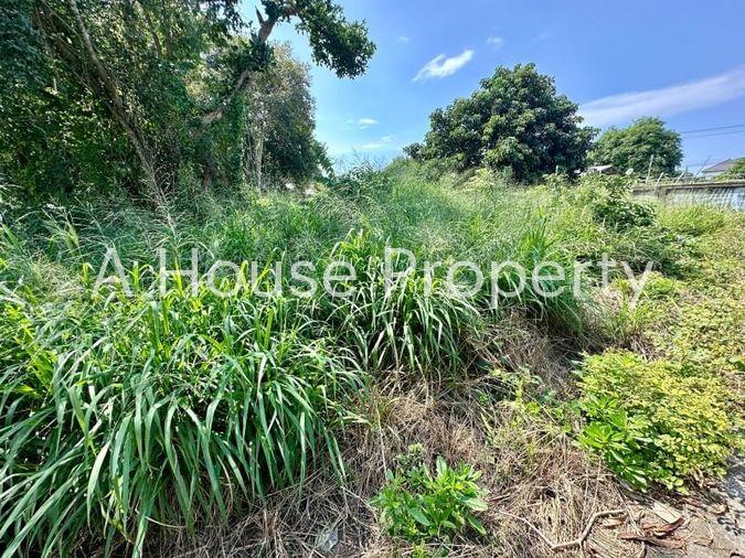 picture Land for sale in Sriracha, Na Phrao, beautiful plot, good location, near community area - 2/11