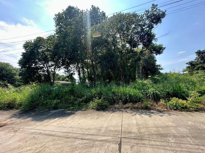 picture Land for sale in Sriracha, Na Phrao, beautiful plot, good location, near community area - 4/11