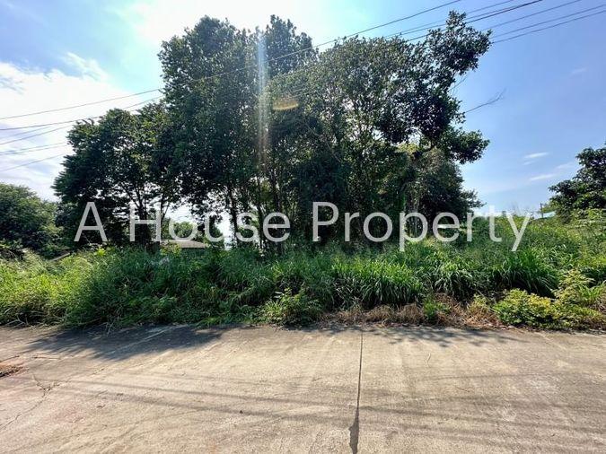 picture Land for sale in Sriracha, Na Phrao, beautiful plot, good location, near community area - 4/11