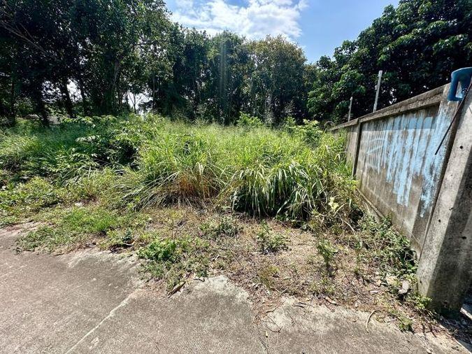 picture Land for sale in Sriracha, Na Phrao, beautiful plot, good location, near community area - 10/11