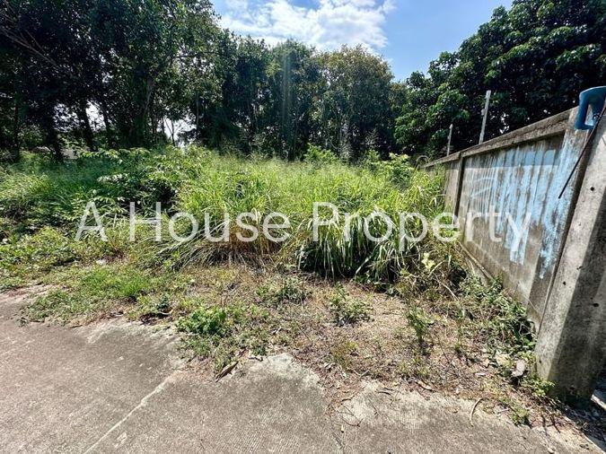 picture Land for sale in Sriracha, Na Phrao, beautiful plot, good location, near community area - 10/11