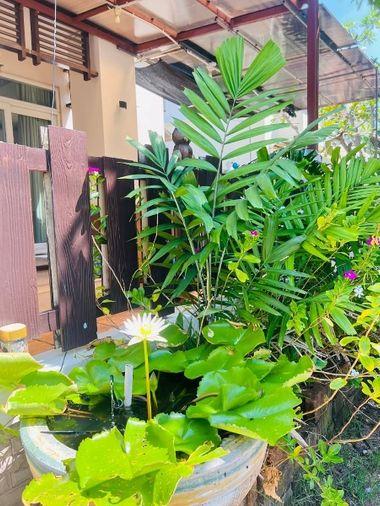 picture House for Sale 🏡 Single house in Casaluna Village, Bang Phra - 7/10