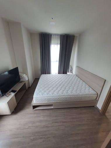 รูป For Rent  Nia by Sansiri   :   เนีย บาย แสนสิริ    (ST-02) - รูปที่ 1/5