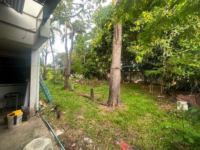 รูป เช่าบ้าน ซอยแบริ่ง 16 บางนา สุขุมวิท 107 - รูปที่ 7/8