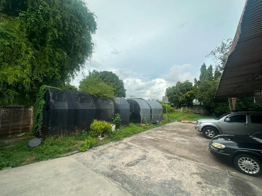 รูป เช่าบ้าน ซอยแบริ่ง 16 บางนา สุขุมวิท 107 - รูปที่ 3/8