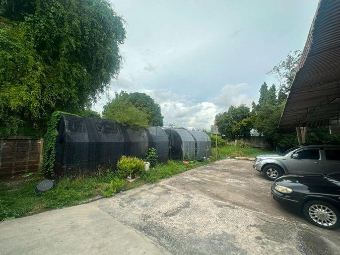 รูป เช่าบ้าน ซอยแบริ่ง 16 บางนา สุขุมวิท 107 - รูปที่ 3/8