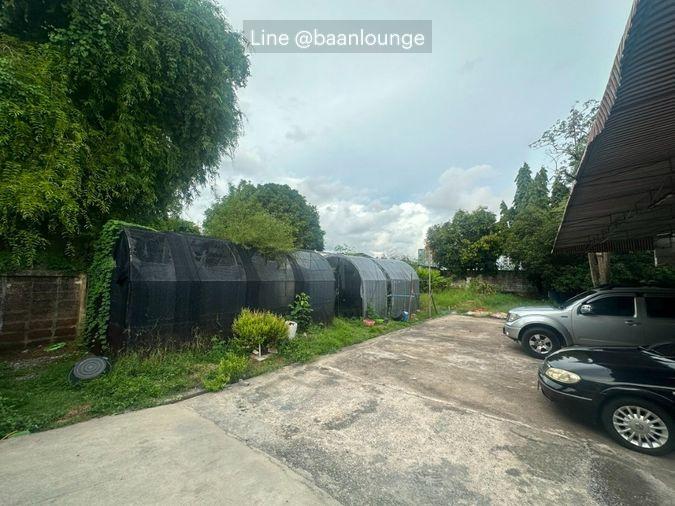 รูป เช่าบ้าน ซอยแบริ่ง 16 บางนา สุขุมวิท 107 - รูปที่ 3/8