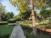 listing thumbnail image 34