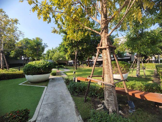 รูป ให้เช่า  ทาวโฮม 3 ชั้น  บ้านกลางเมืองศรีนครินทร์-อ่อนนุช  (Rt-01) - รูปที่ 35/36