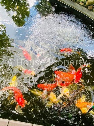 รูป ขายที่ดินแปลงสวย พร้อมกิจการคาเฟ่ โซนบ่อวิน ศรีราชา ชลบุรี - รูปที่ 9/15