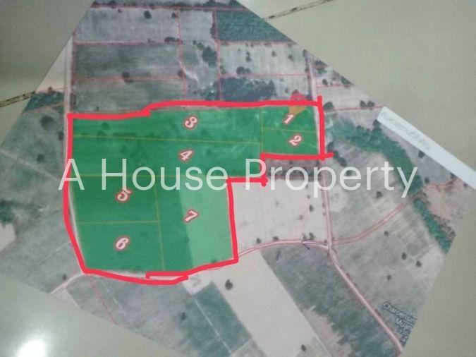 picture Land for sale, Soi Wat Bo Win, Yang En, Sriracha, Chonburi - 5/6
