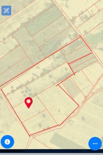 picture Land for sale, Soi Wat Bo Win, Yang En, Sriracha, Chonburi - 6/6