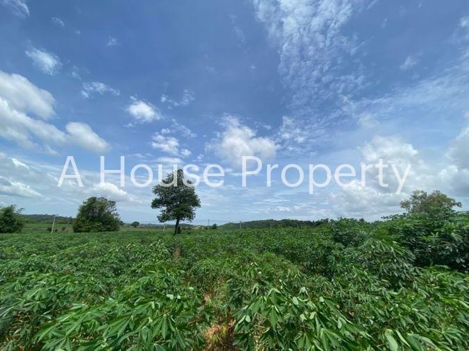 picture Land for sale, Soi Wat Bo Win, Yang En, Sriracha, Chonburi - 1/6