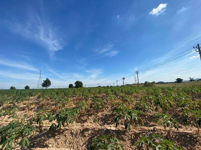 picture Land for sale, Soi Wat Bo Win, Yang En, Sriracha, Chonburi - 2/6