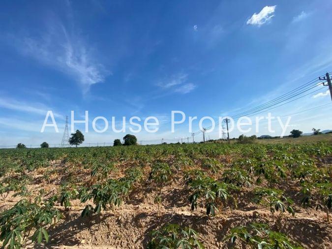 picture Land for sale, Soi Wat Bo Win, Yang En, Sriracha, Chonburi - 2/6