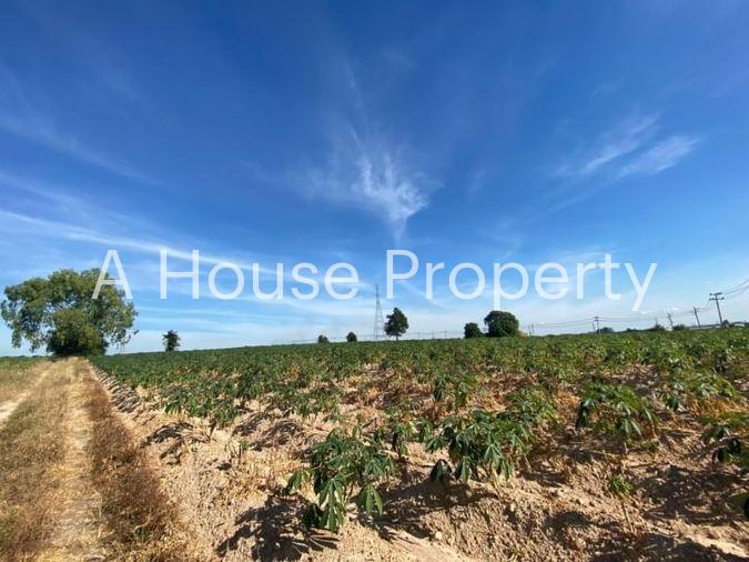picture Land for sale, Soi Wat Bo Win, Yang En, Sriracha, Chonburi - 3/6