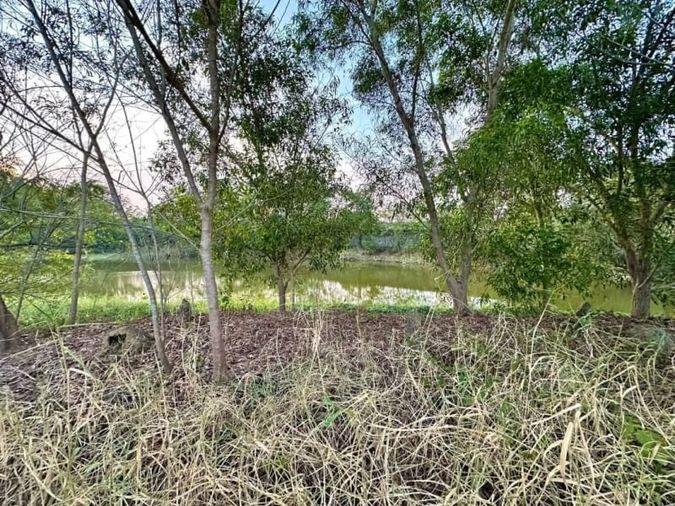 picture Beautiful land plot for sale in the Panya Resort Bang Phra, Chonburi project. - 8/9